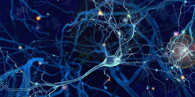 diferencia-cirsis-epileptica-y-descarga-neuronal